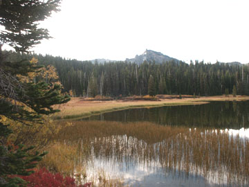 Grasslake-2.jpg