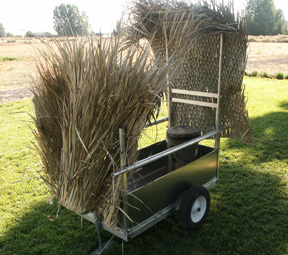 cart-grass.jpg